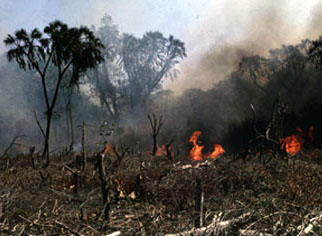 Gedi_Watamu_fire.jpg